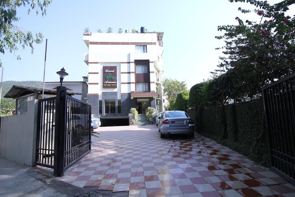 Hotel Forest Avenue - Best Luxury Hotel In דהראדון מראה חיצוני תמונה