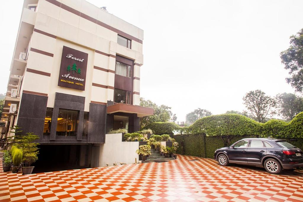 Hotel Forest Avenue - Best Luxury Hotel In דהראדון מראה חיצוני תמונה